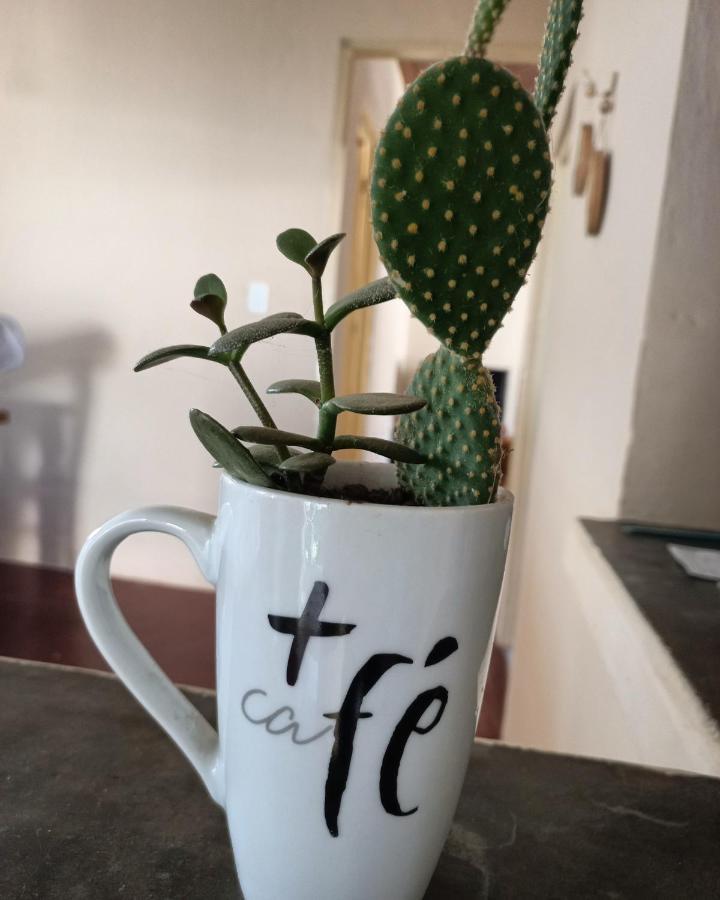 פאסה קוואטרו Casinha Verde מראה חיצוני תמונה